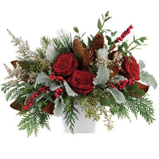 Christmas Blooms