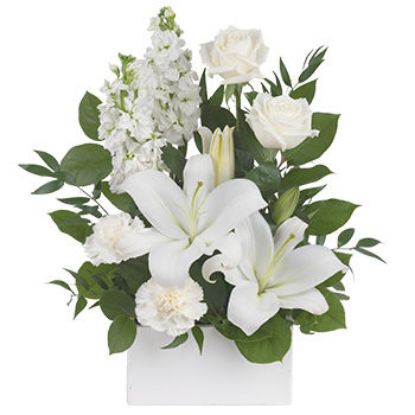 White Simplicity